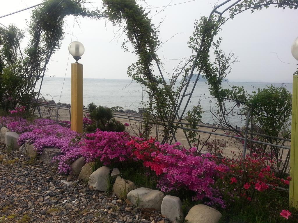 Yongdu Beach Pension Boryeong Exterior photo
